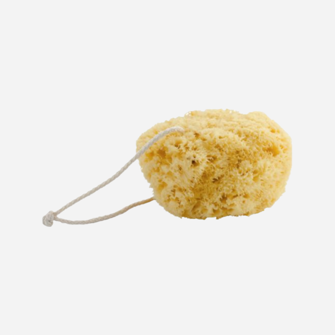 [NATURALS Croll &amp; Denecke] Sponge for Body, Medium